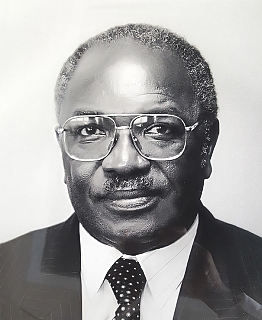 H.E. Daudi N. Mwakawago - Ambassador