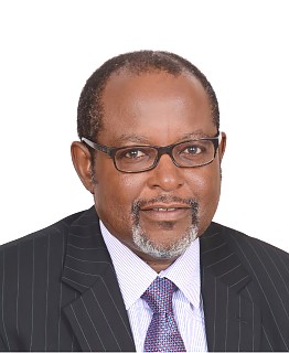 H.E. Ombeni Y. Sefue - Ambassador