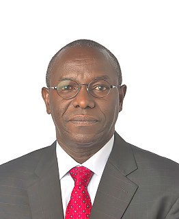 H.E. Tuvako Nathaniel Manongi - Ambassador